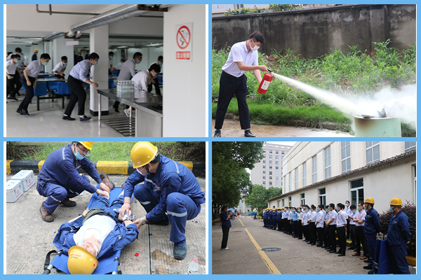 1593585199674942.jpg 4+2.jpg