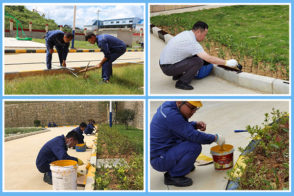 1602222739860898.jpg P圖-四框.jpg