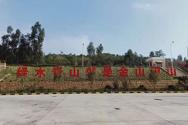 1609895456732567.jpg 2.jpg