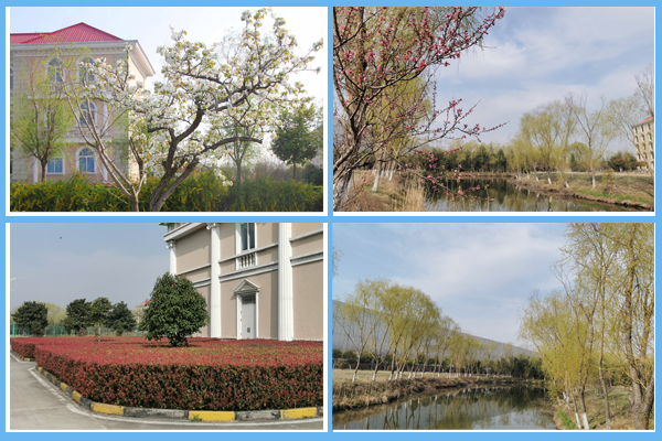 1615699940362837.png 圖片 1.png