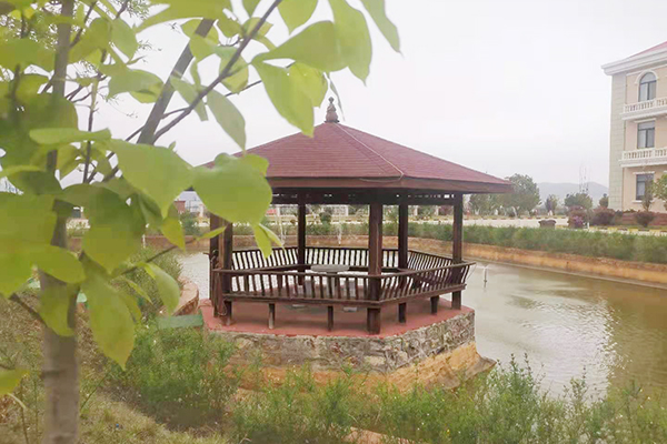 1617159584354971.jpg 2.jpg