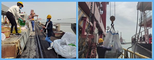 1650271648548255.png 揚(yáng)2.png